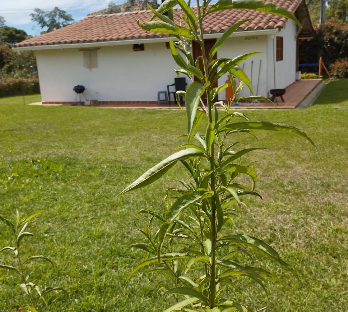 Samaria, Un Lugar Para Descansar Y Disfrutar Santa Elena